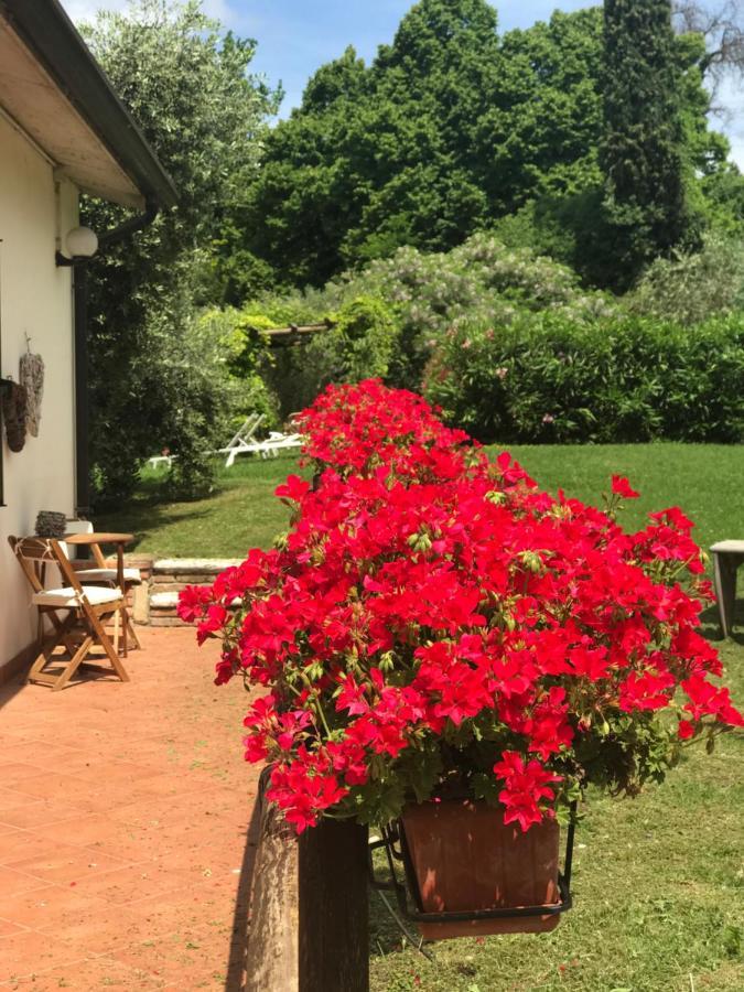 Agriturismo B&B Le Casette Sul Garda 카바욘베로네세 외부 사진