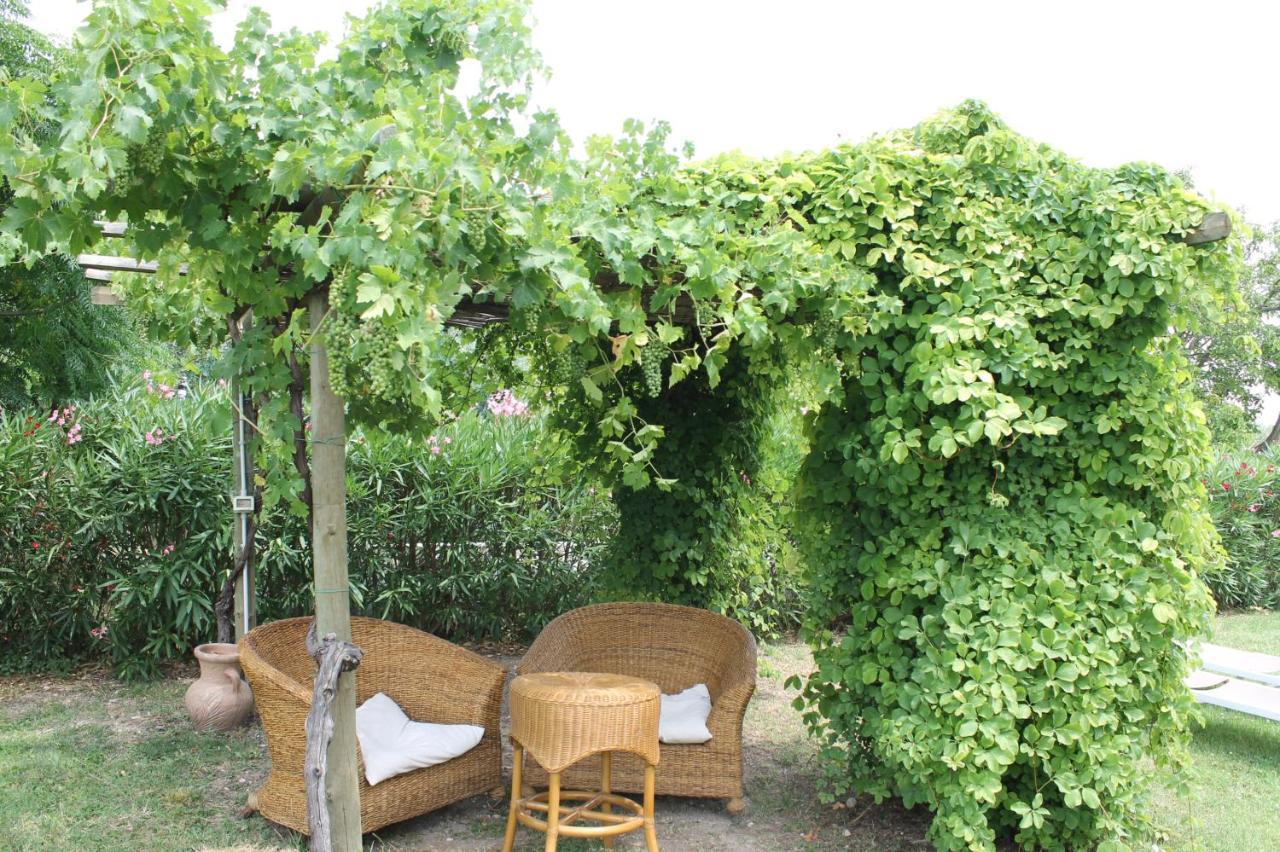 Agriturismo B&B Le Casette Sul Garda 카바욘베로네세 외부 사진