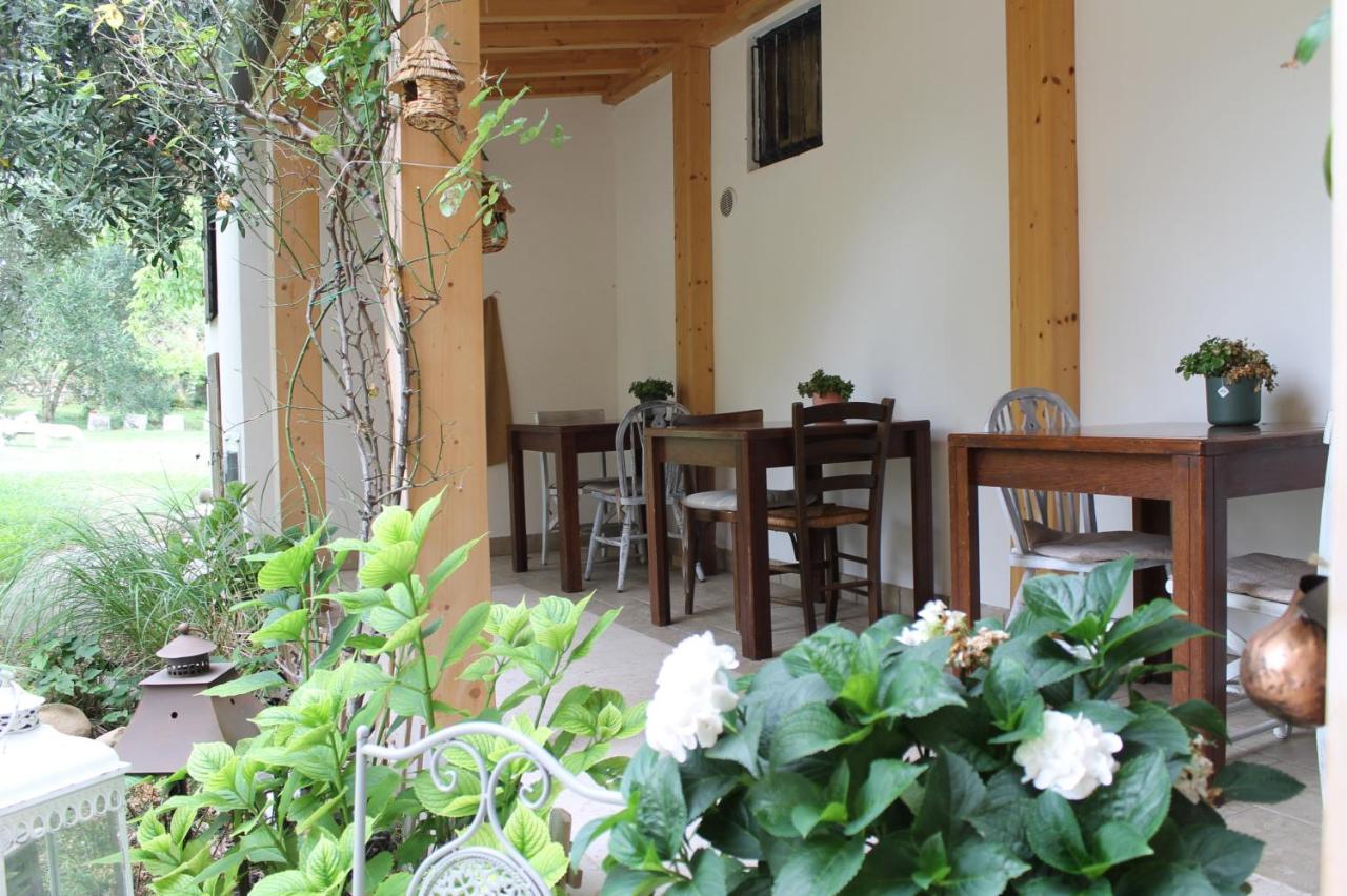 Agriturismo B&B Le Casette Sul Garda 카바욘베로네세 외부 사진