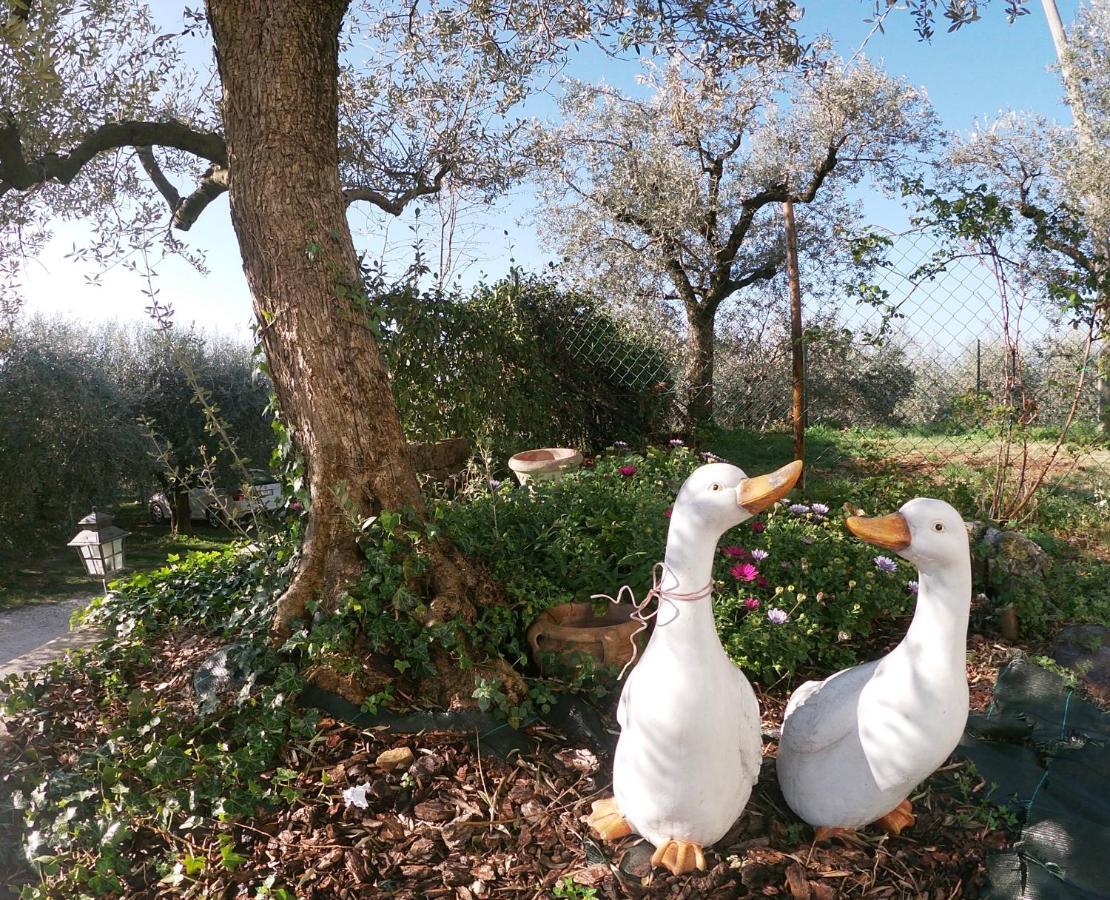 Agriturismo B&B Le Casette Sul Garda 카바욘베로네세 외부 사진